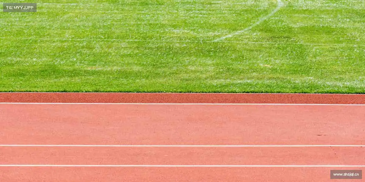 为什么选择我们